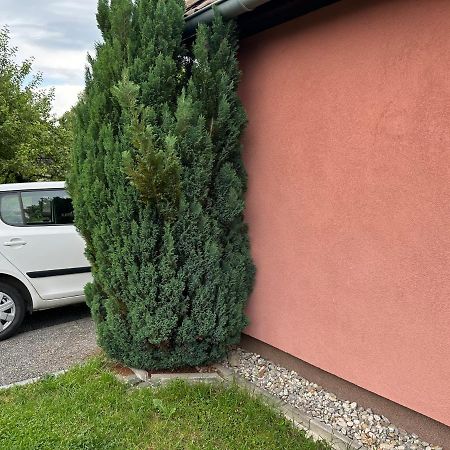 Domecek U Tercina Udoli Villa Nove Hrady  Exterior photo