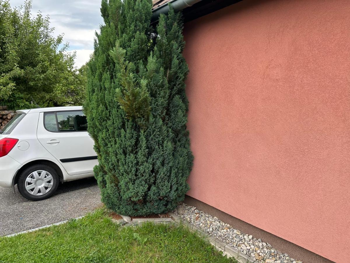 Domecek U Tercina Udoli Villa Nove Hrady  Exterior photo